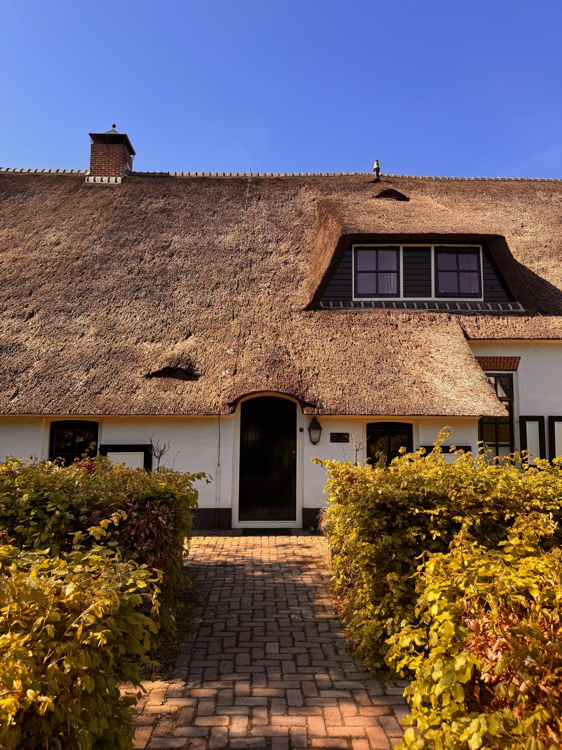 Rietgedekte voorgevel van Jansenstede met blauwe lucht