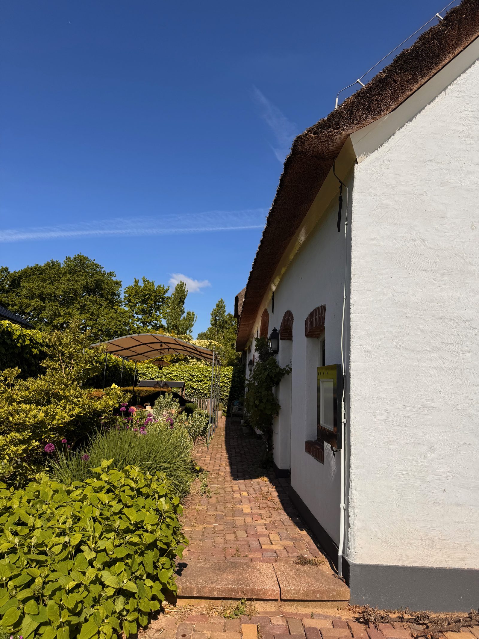 Tuinpad langs het huis met bloeiende borders