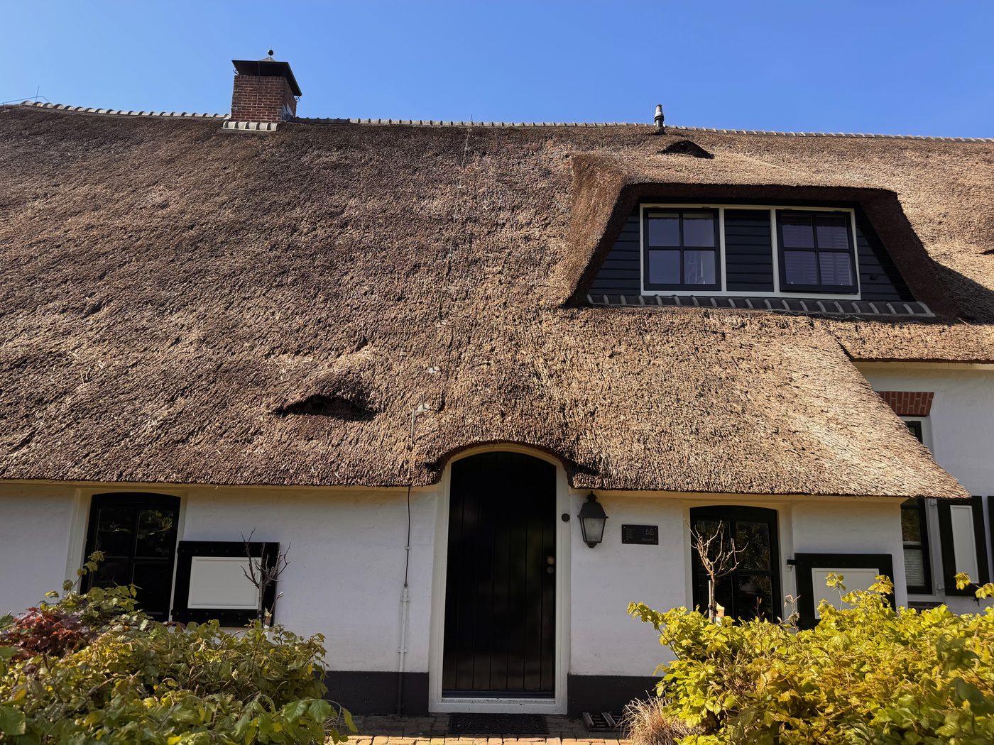Detail van het rietgedekt dak met dakkapel